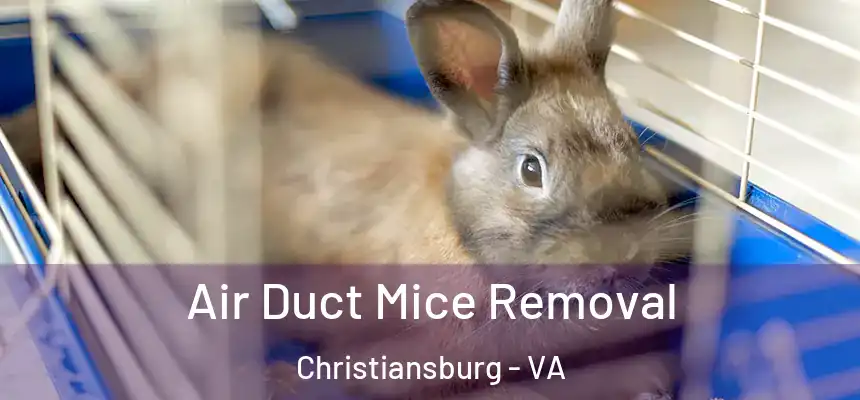  Air Duct Mice Removal Christiansburg - VA