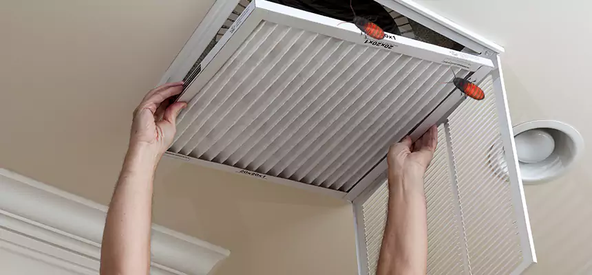Preventive Cockroach-Proofing for Ducts in Christiansburg
