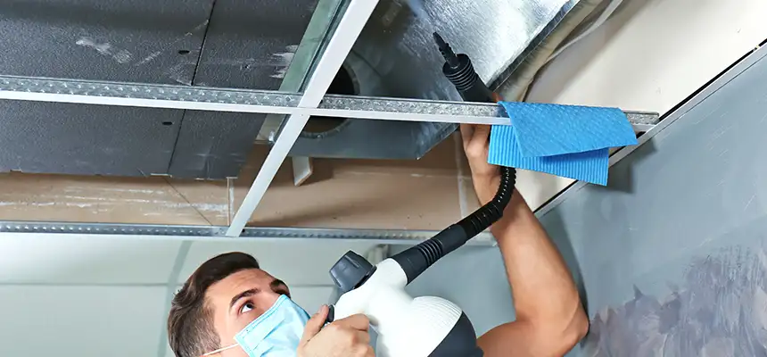 Our Air Duct Rodent Removal Services in Christiansburg, VA