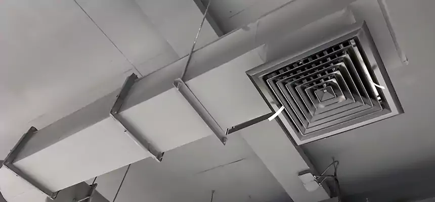 Our Pest Removal From Ducts Services in Christiansburg, VA