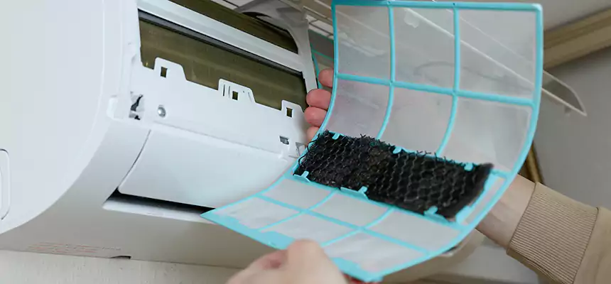 Gentle Ductwork Odor-Control Pet Dander Duct Cleaning in Christiansburg, VA