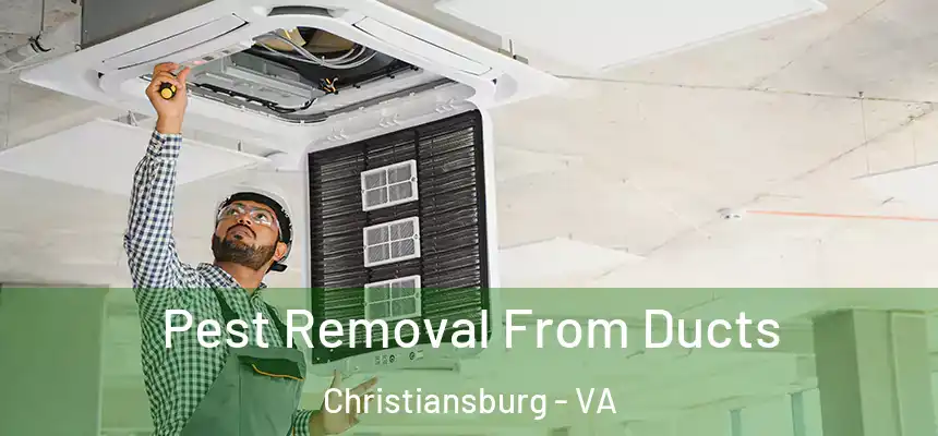 Pest Removal From Ducts Christiansburg - VA