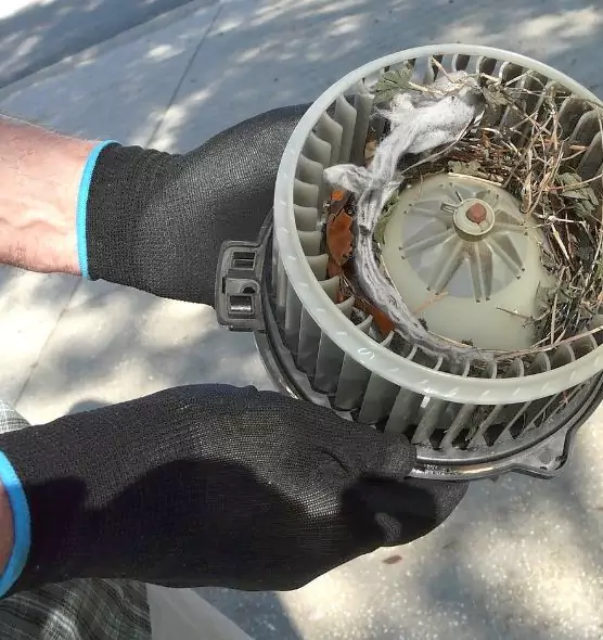 About Air Duct Mice Removal in Christiansburg, VA