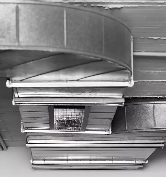 Professional Air Duct Pest Removal in Christiansburg, VA