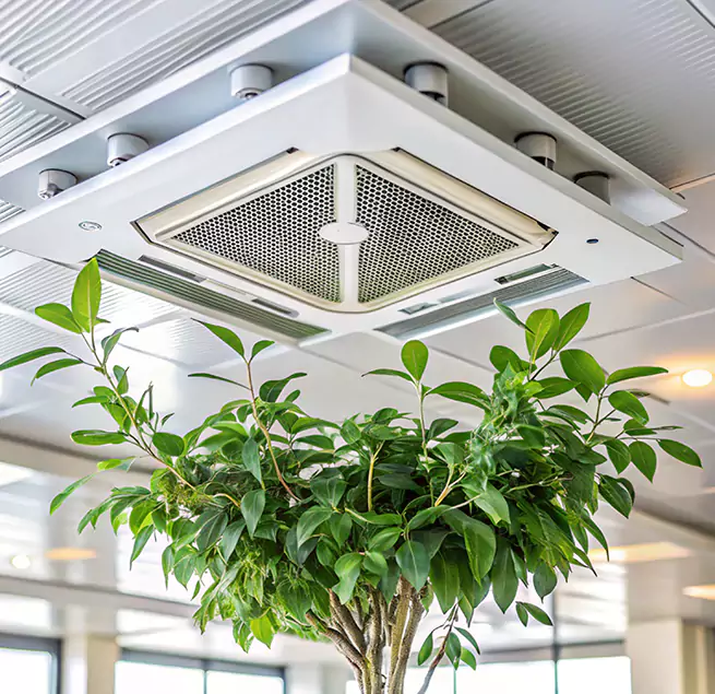 Why Homeowners & Businesses Trust Us in Christiansburg, VA